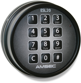 AMS0616258