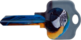 ILCSC1-BIRD