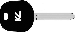 Toyota Transponder Key