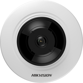 HIKDS-2CD2955FWD-IS
