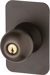 Classroom Knob Trim for 22 Series Exits, Key in Knob, 695/SP313 Powder-Coated Dark Bronze