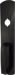 Nightlatch Trim, Pull Handle on Plate for 98-99 Rim and Vertical Rod Exits, 693/622/SPBLK Sprayed Flat Black