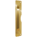 Pin Latch Protector with Cut Out for Locks, 11in x 3in, 605/US3 Bright Brass Plated