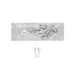 Honda H.S. Full Tumbler 10/Pack