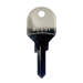 Blue Dog Mailbox Key