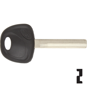 ILCHY18-P